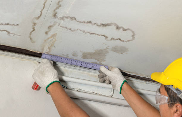 Affordable Ceiling Water Damage Repair solutions in New Washington, OH
